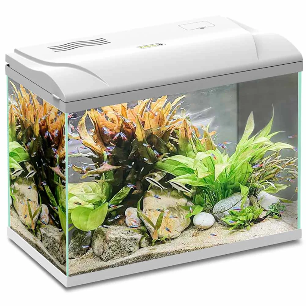 Acquario Magis 30 Bianco Blu Bios - Image 4