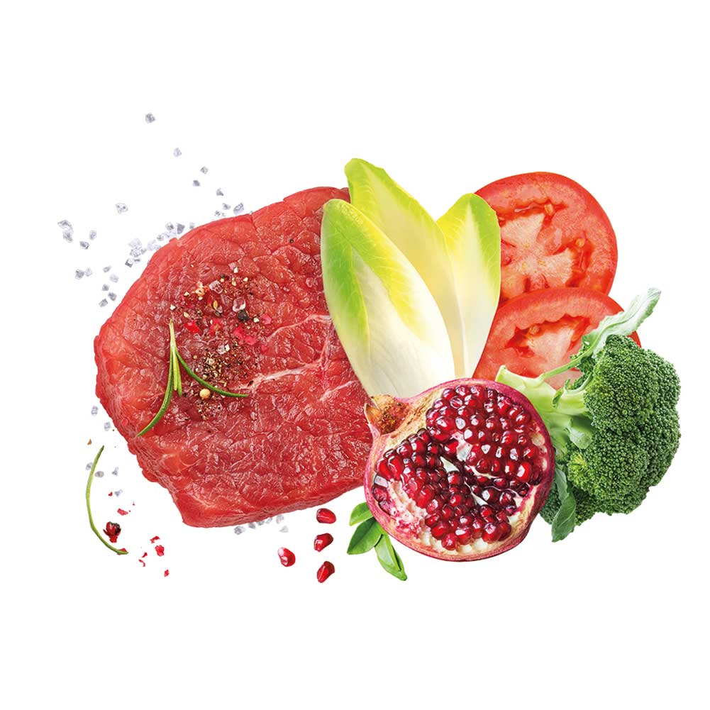 Alimento secco per cani Adult medium Mediterraneo Manzo Exclusion - Image 2