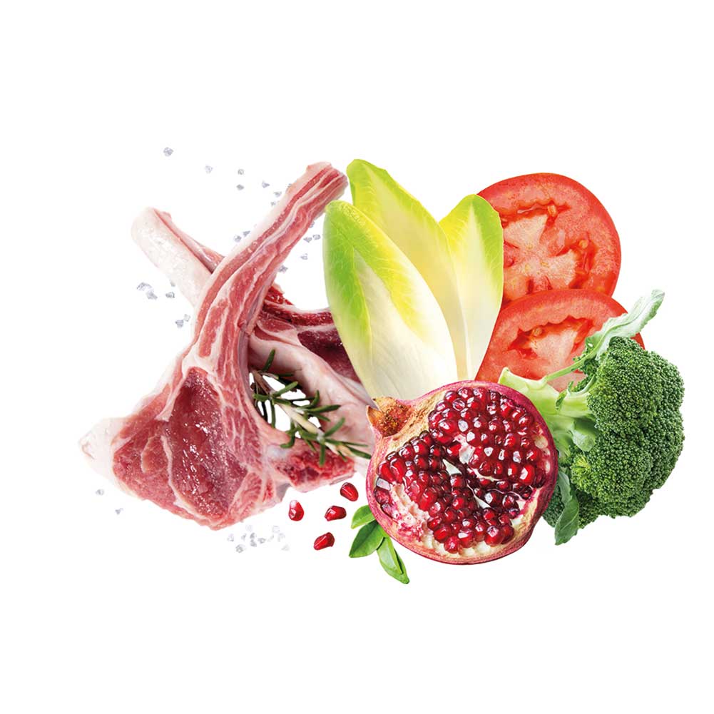 Alimento secco per cani Adult small Mediterraneo Agnello Exclusion - Image 5