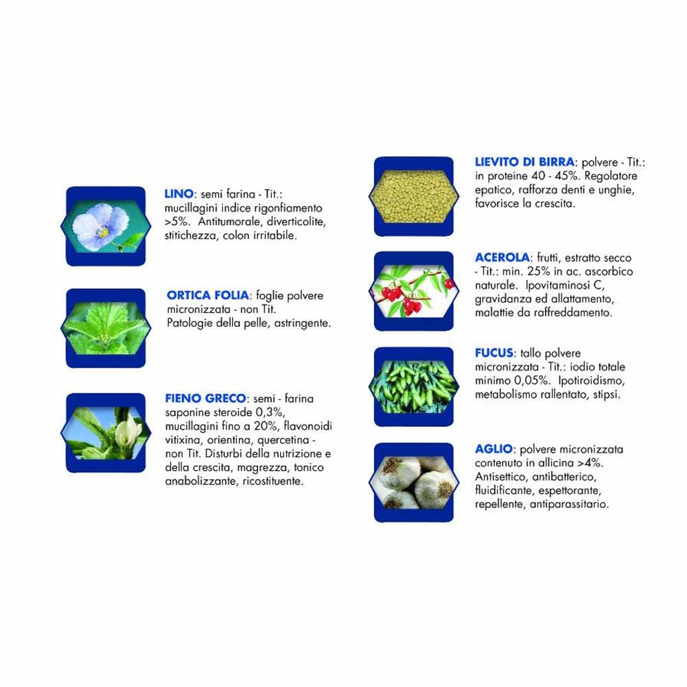 Alimento umido cane adulto bufalo con patate Vet Line - Image 6