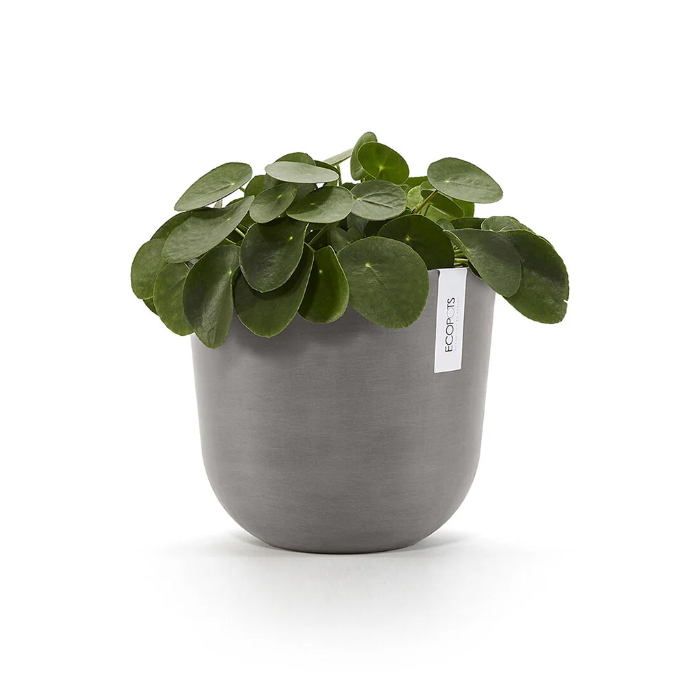 Vaso Oslo Ø25 cm Tortora Ecopots - Image 2